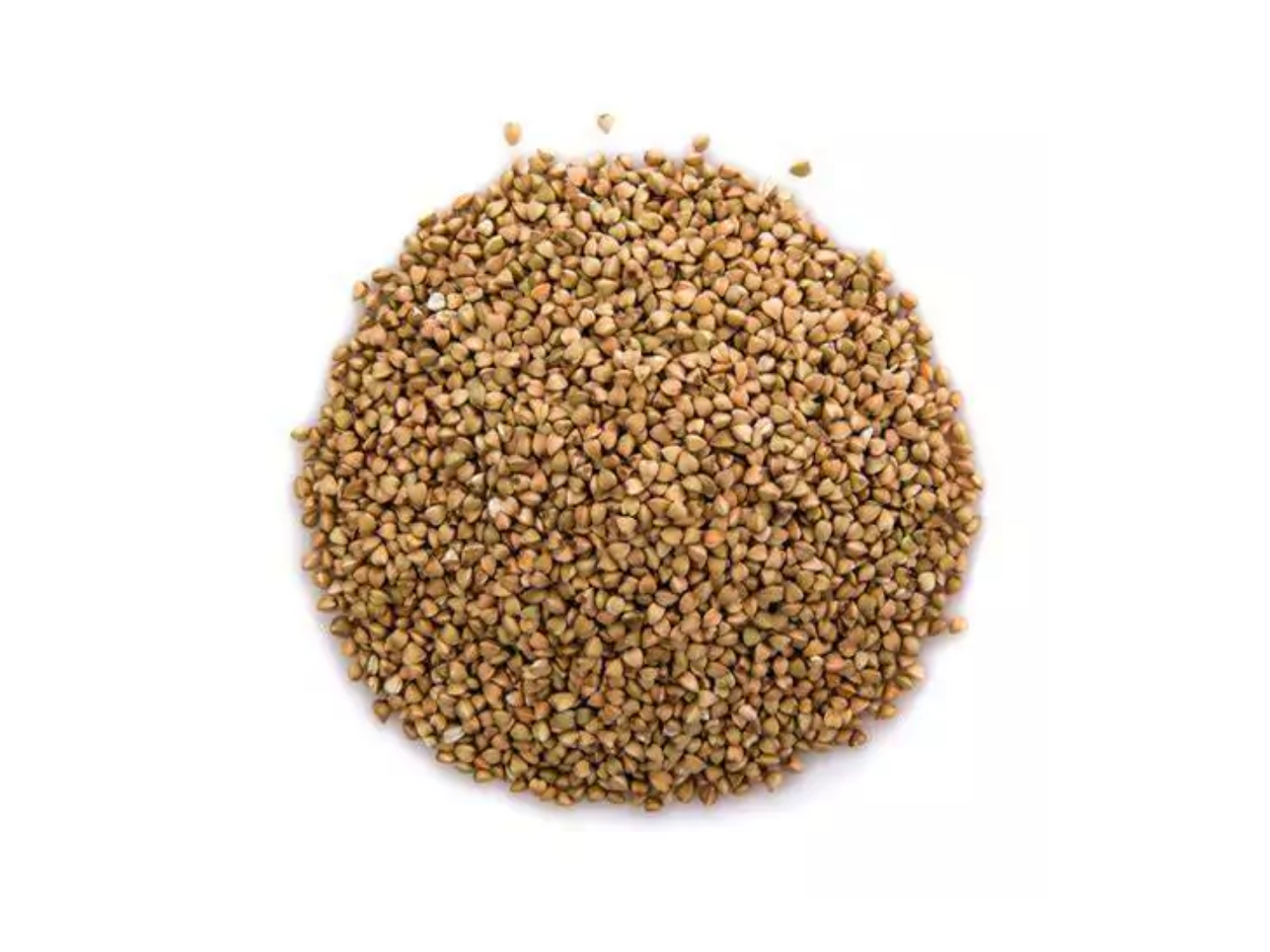 Trigo Sarraceno