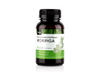 Moringa x 50 cap.