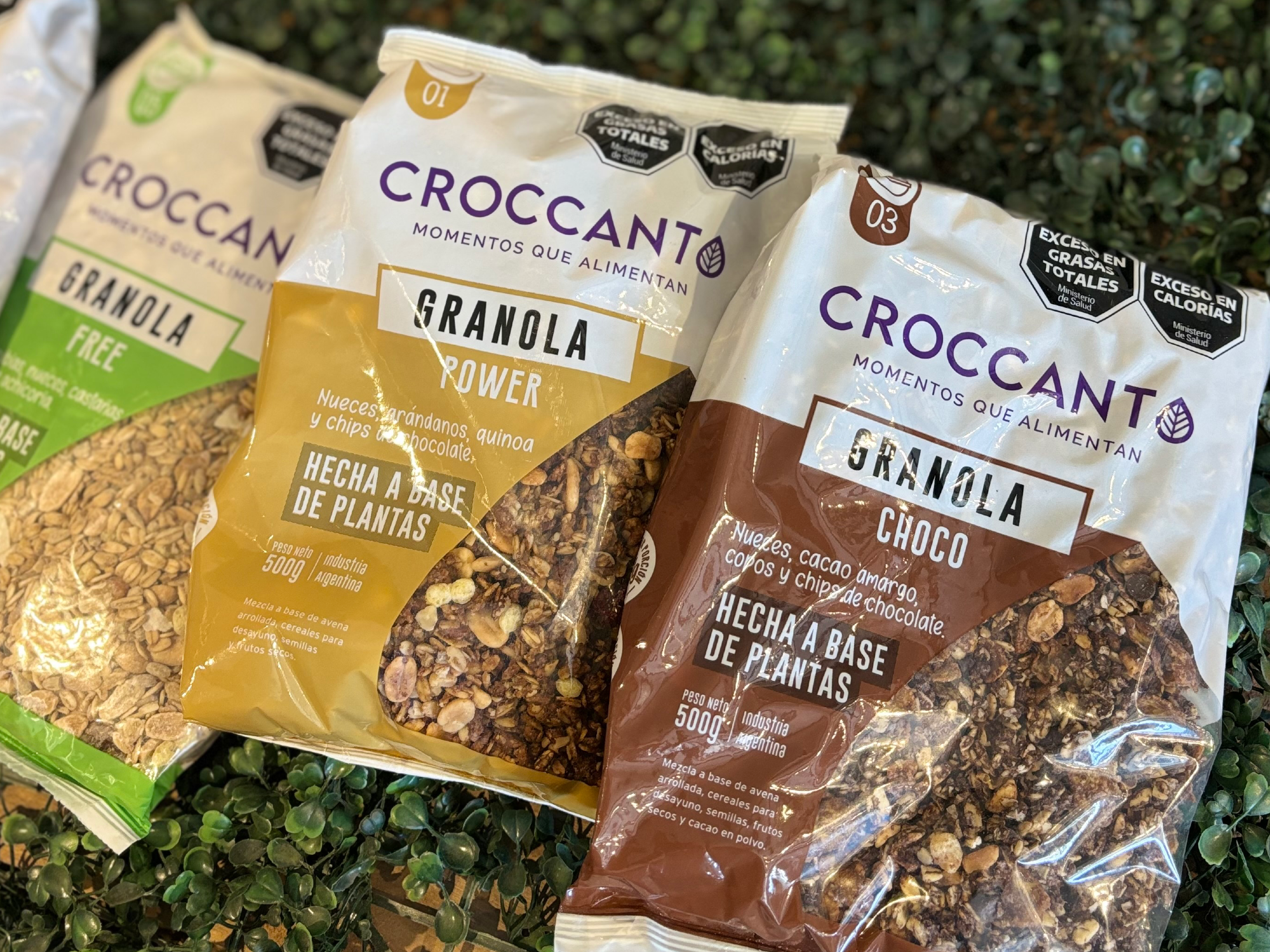 Granola Croccanto x 500 gr