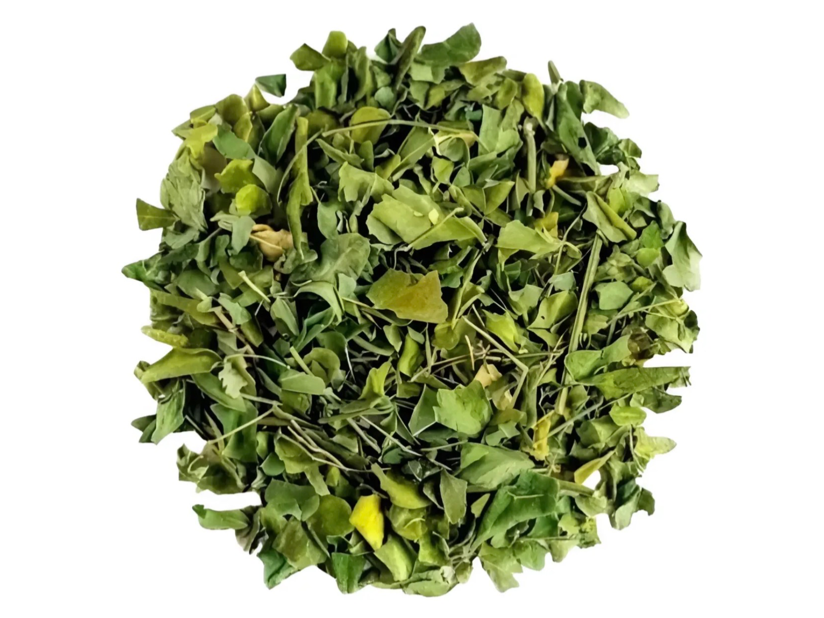 Moringa en hojas