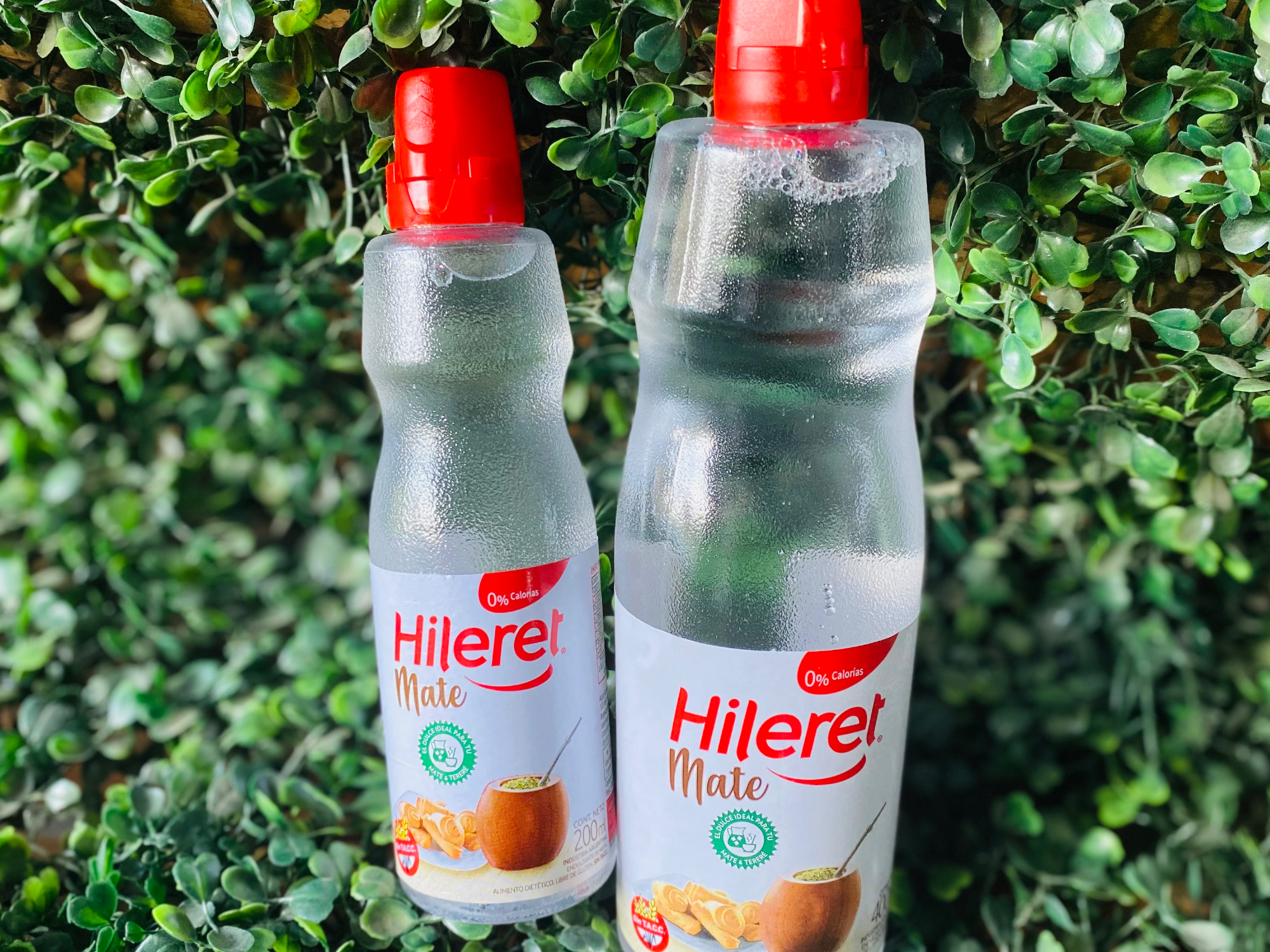 "Hileret" Mate