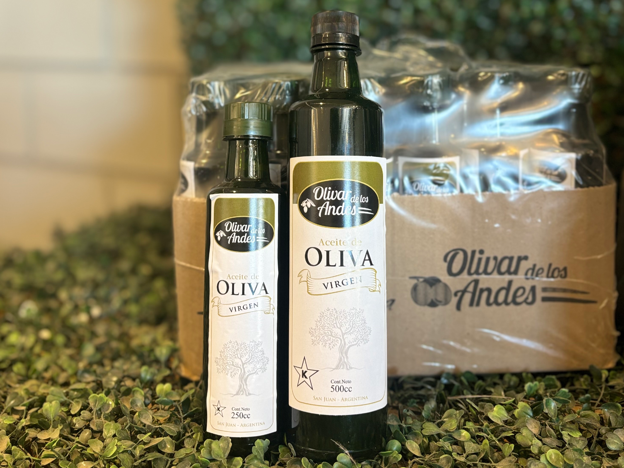 Aceite de Oliva Virgen PET - Olivar de los Andes