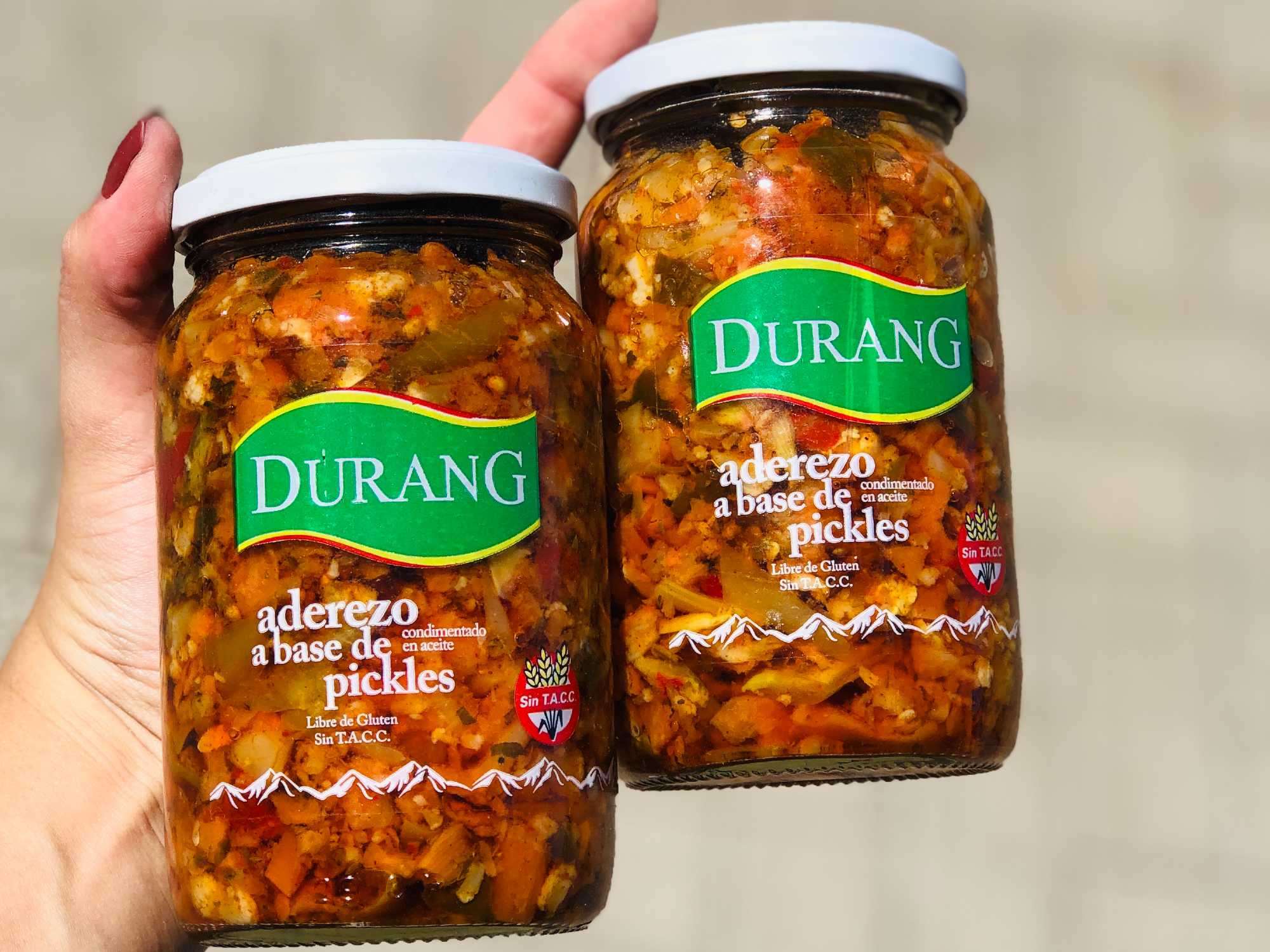 Aderezo a base de Pickles x 330 gr