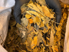 Gingko
