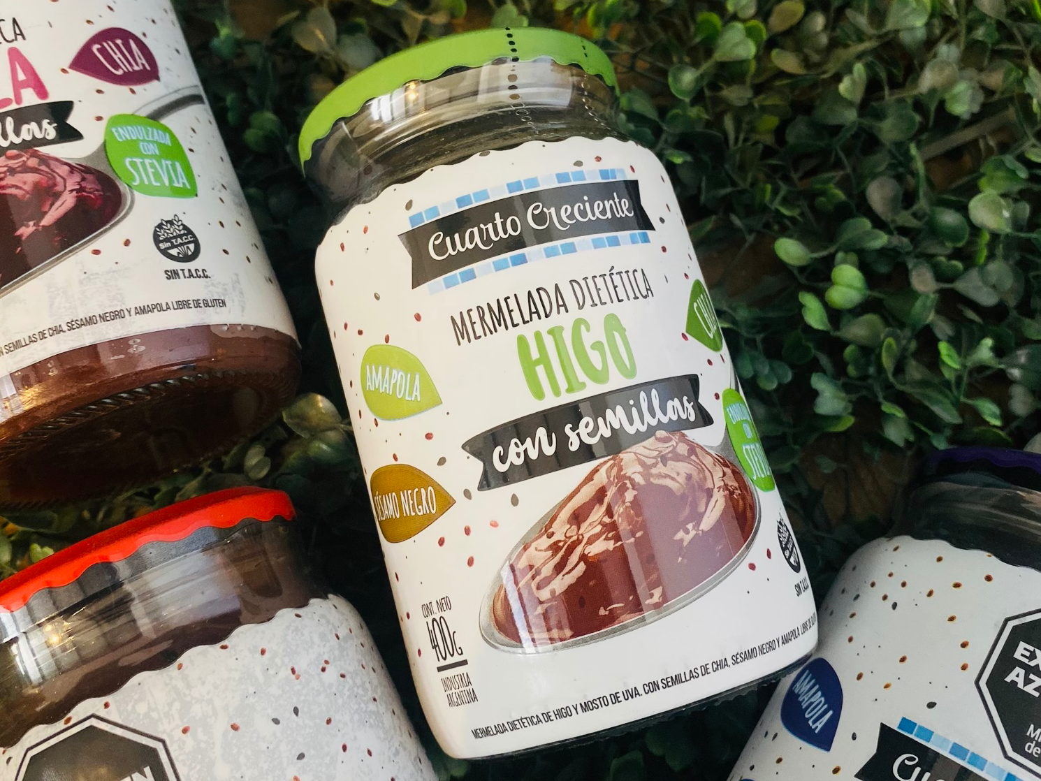 Mermelada c/ Semillas x 400 gr