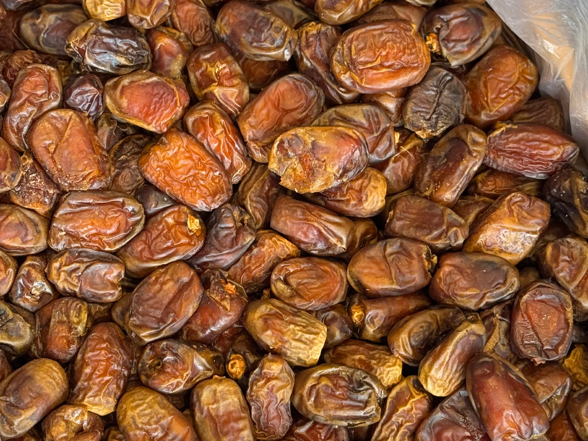 Dátiles de Egipto con carozo