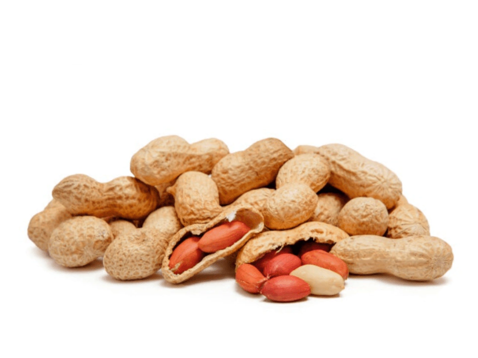 Maní con Cáscara Premium