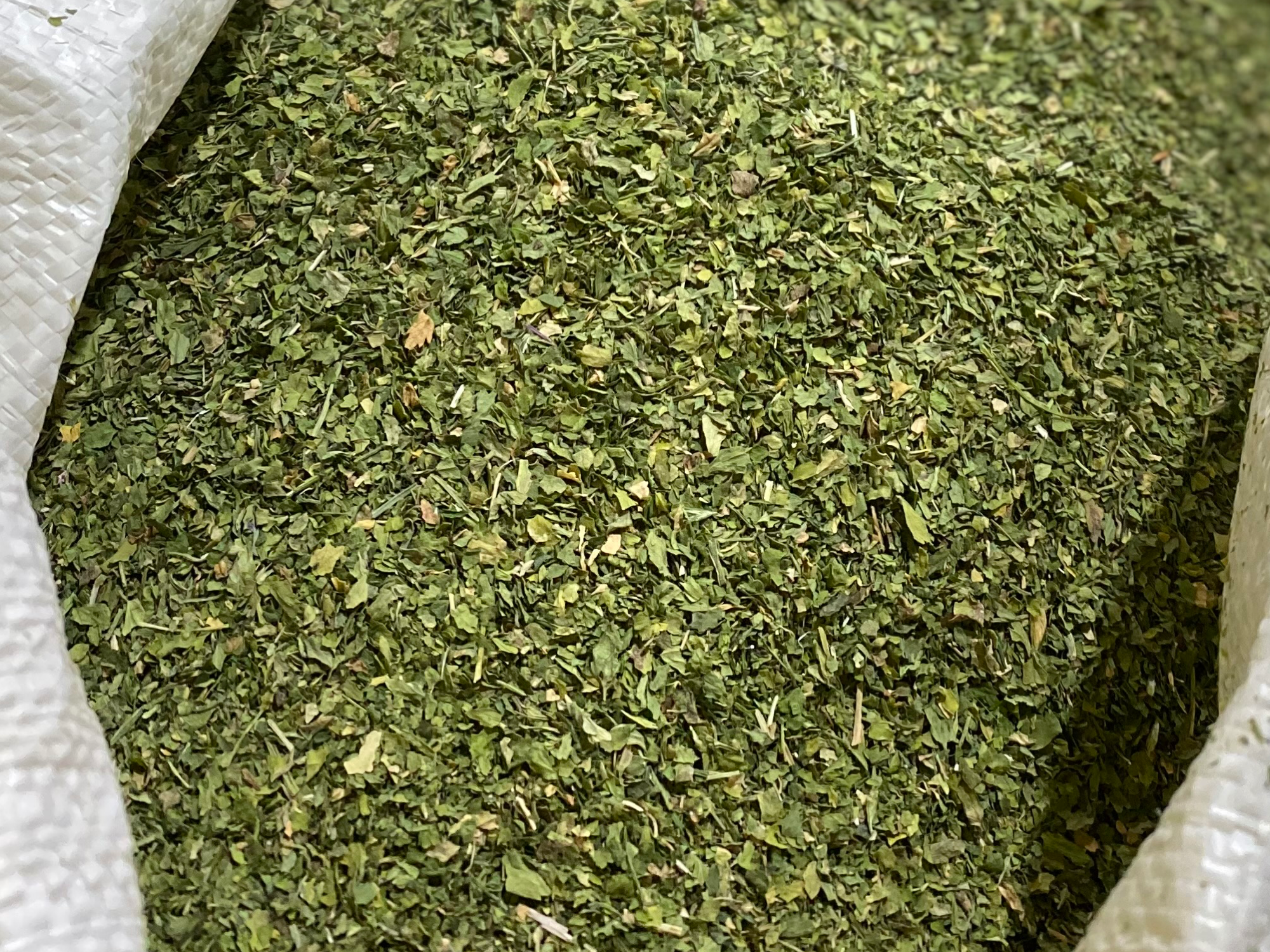 Perejil Premium