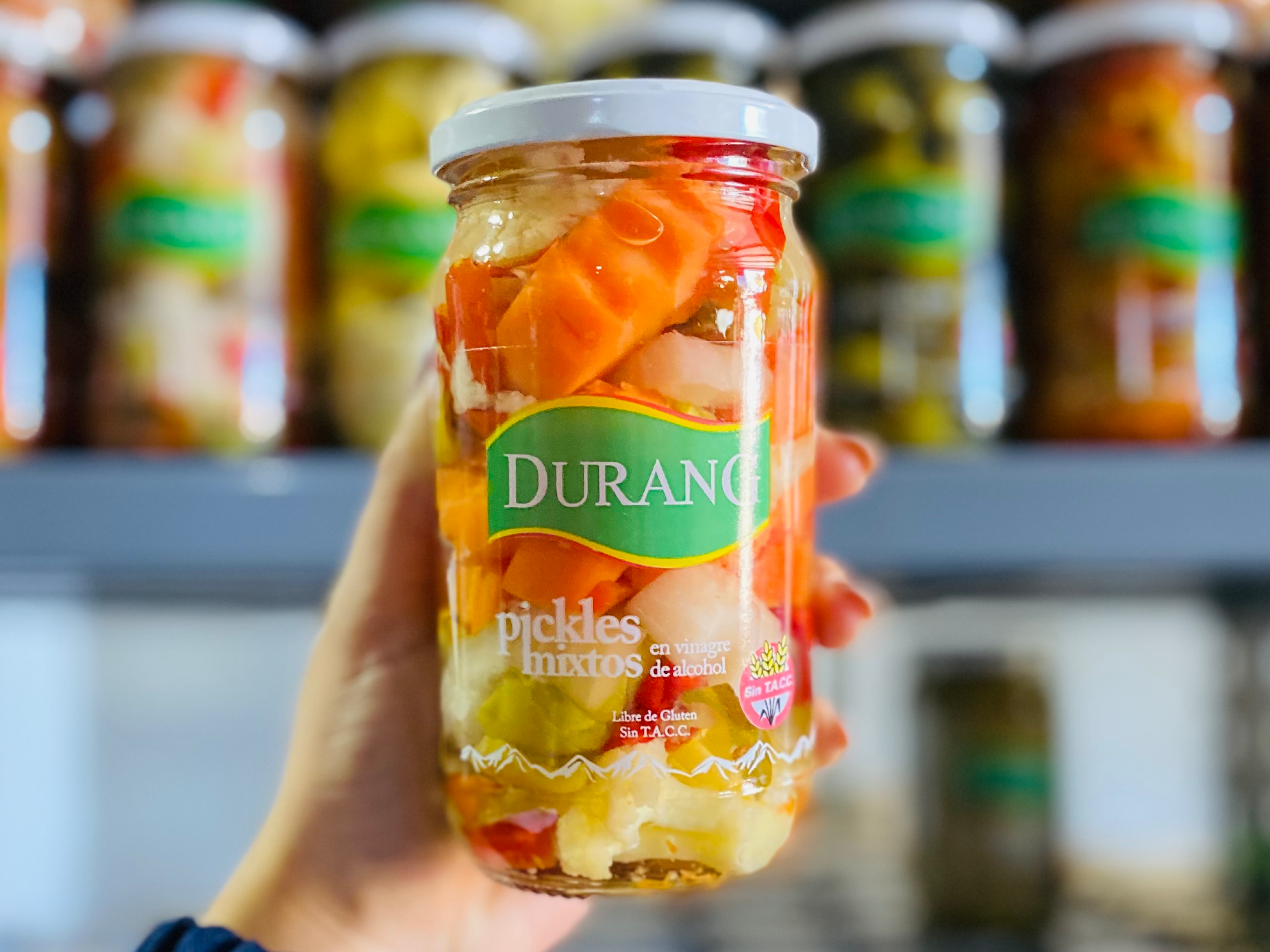 Pickles mixtos en vinagre x 330 gr