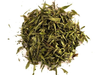 Stevia en hojas