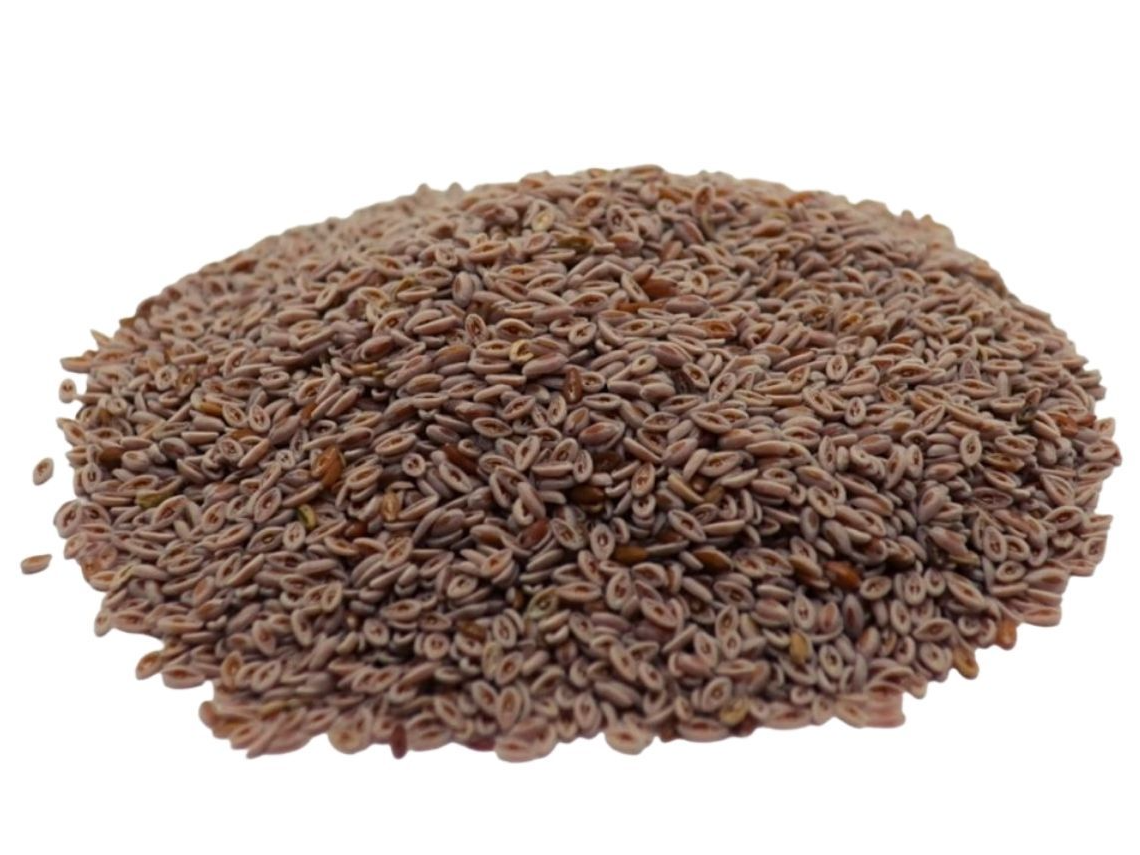 Semilla de Psyllium