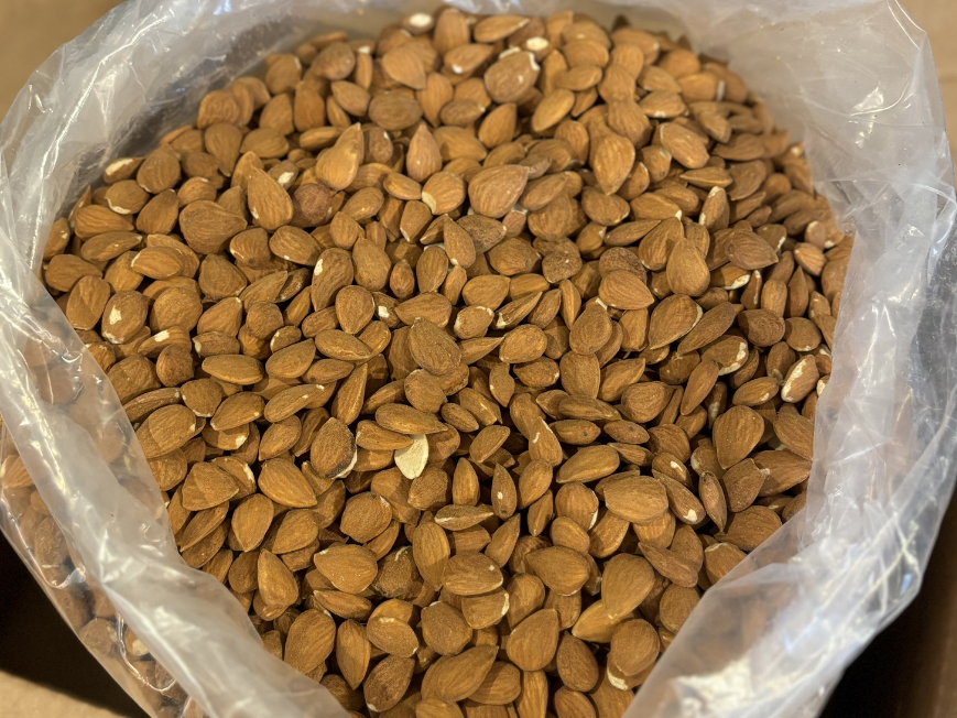 Almendra guara mediana