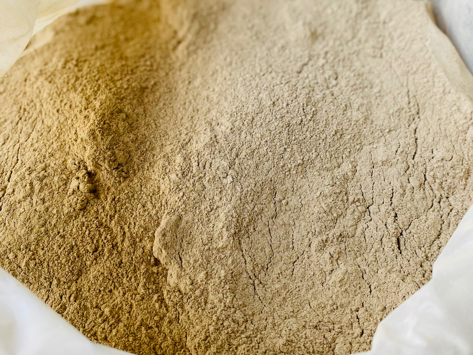 Ajo en polvo Premium