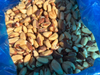 Castaña de Para (Nuez de Brasil) ENTERA
