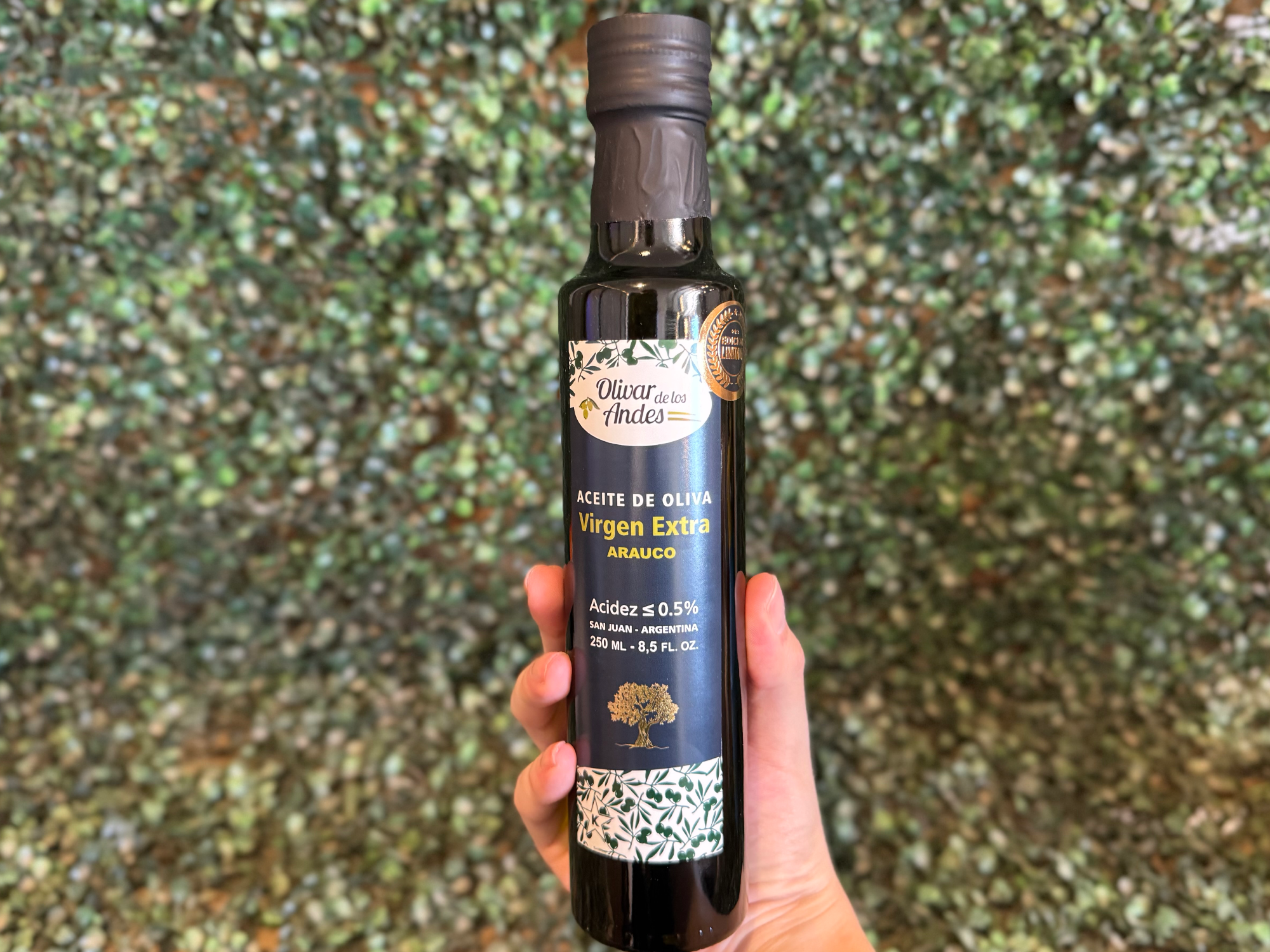 Aceite de oliva extra virgen Arauco Olivar de los Andes