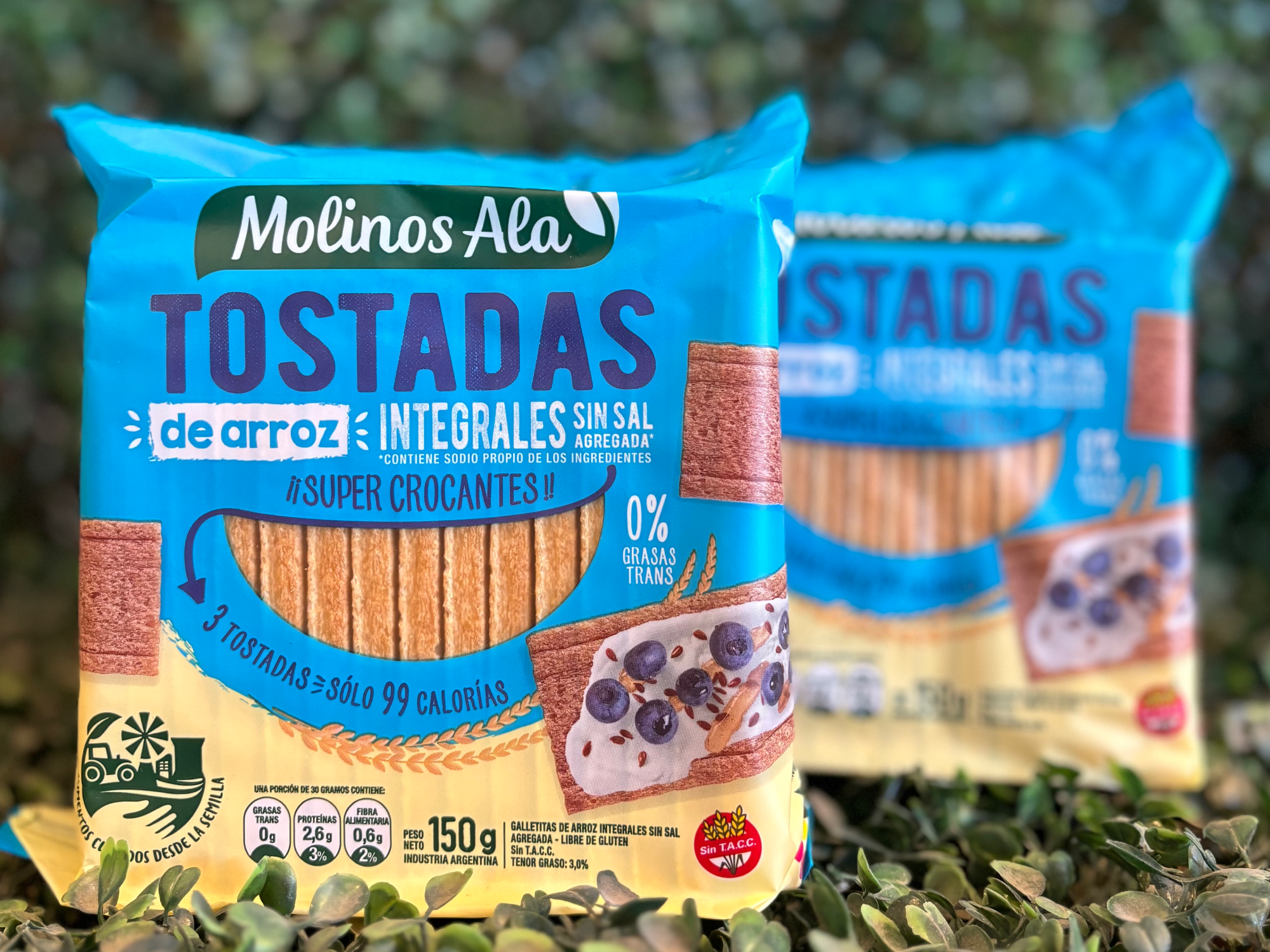 Tostadas de Arroz Integrales sin Sal x 150 gr