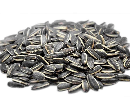 Semilla de girasol con cascara salado