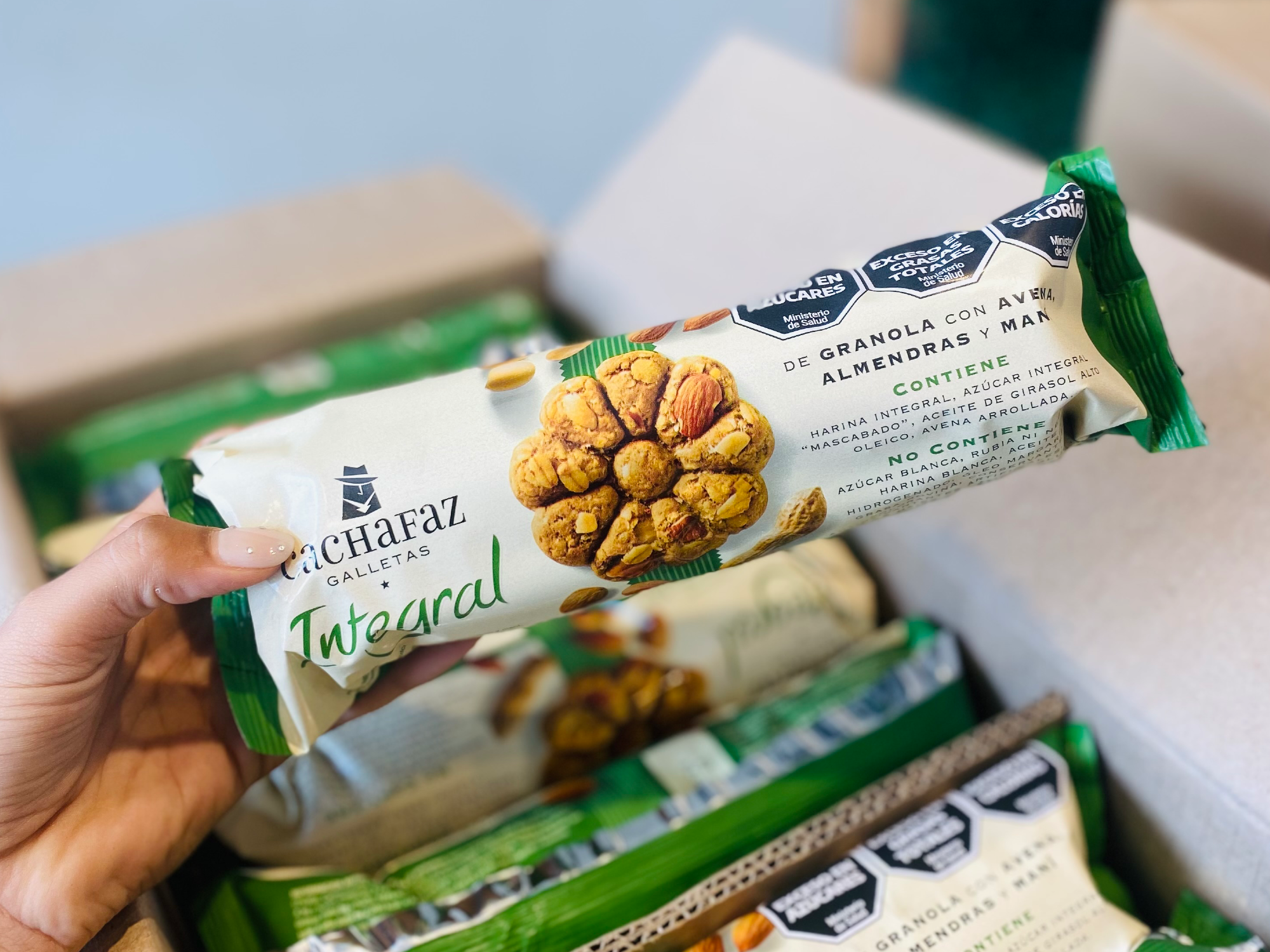 Galletas Integrales x 225 gr