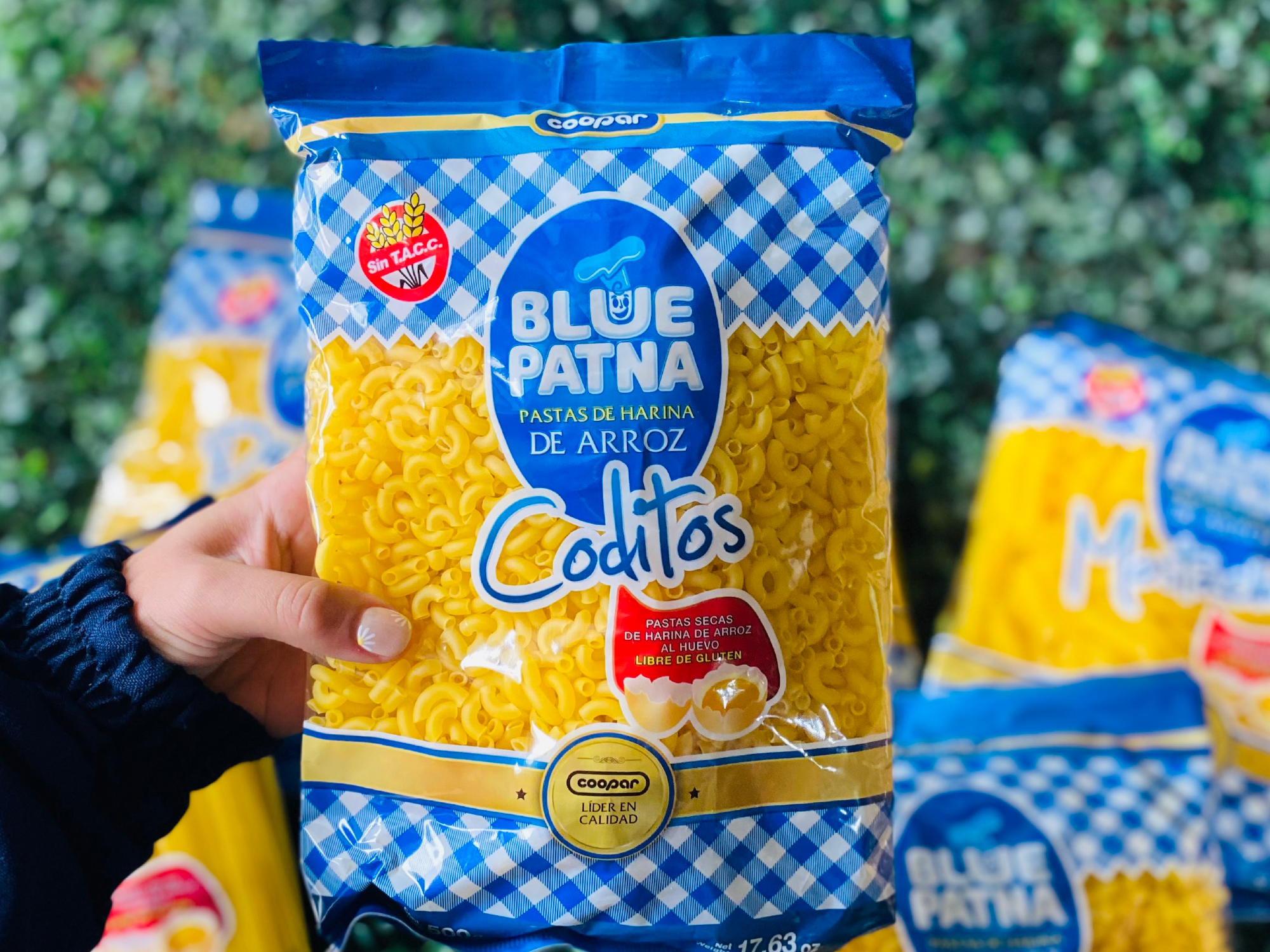 Coditos al huevo x 500 gr