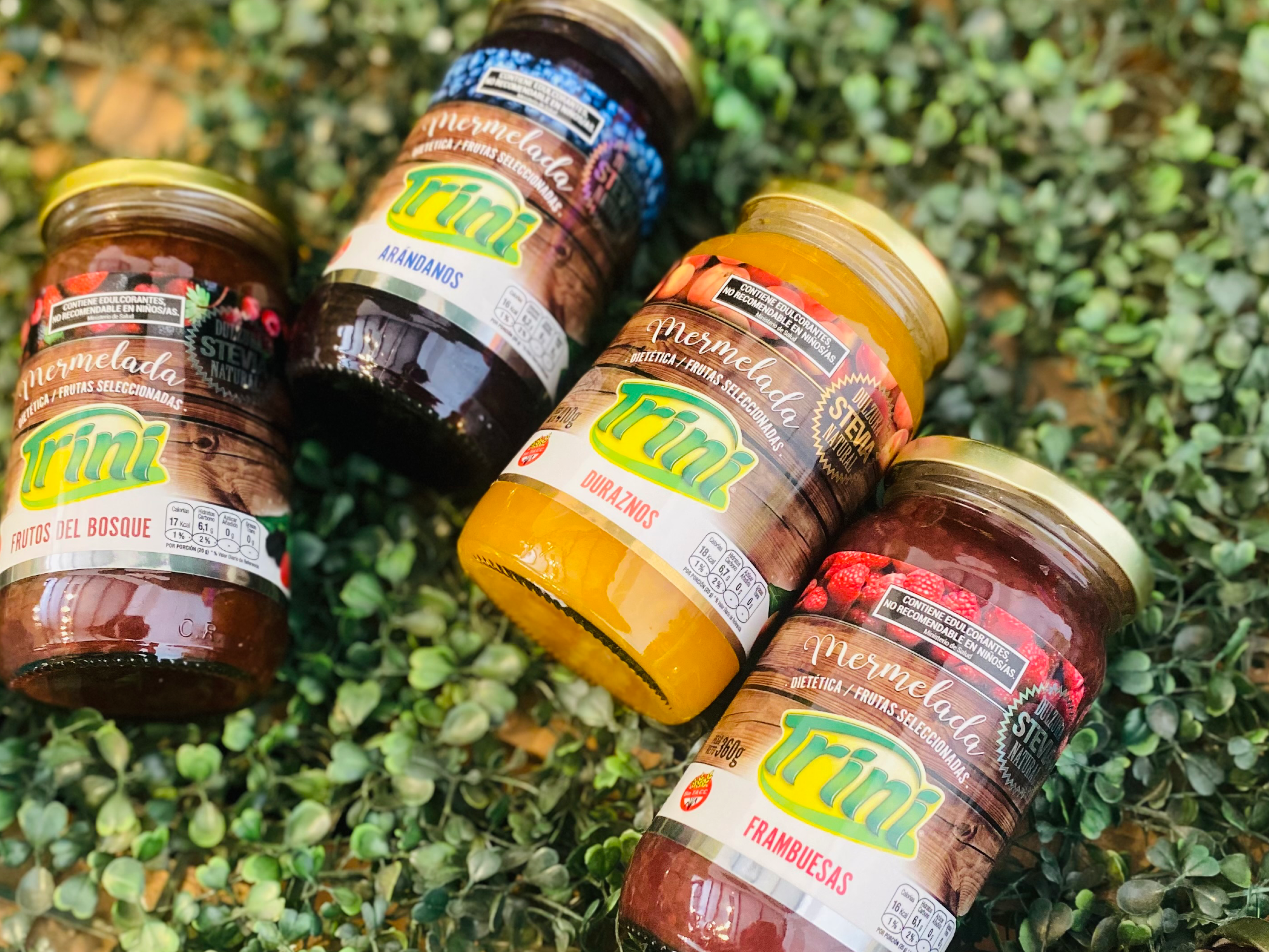 Mermelada con stevia x 360 gr"Trini"