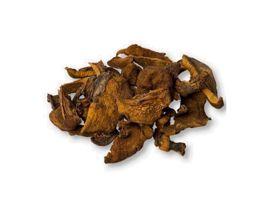 Hongos Bolletus Importados