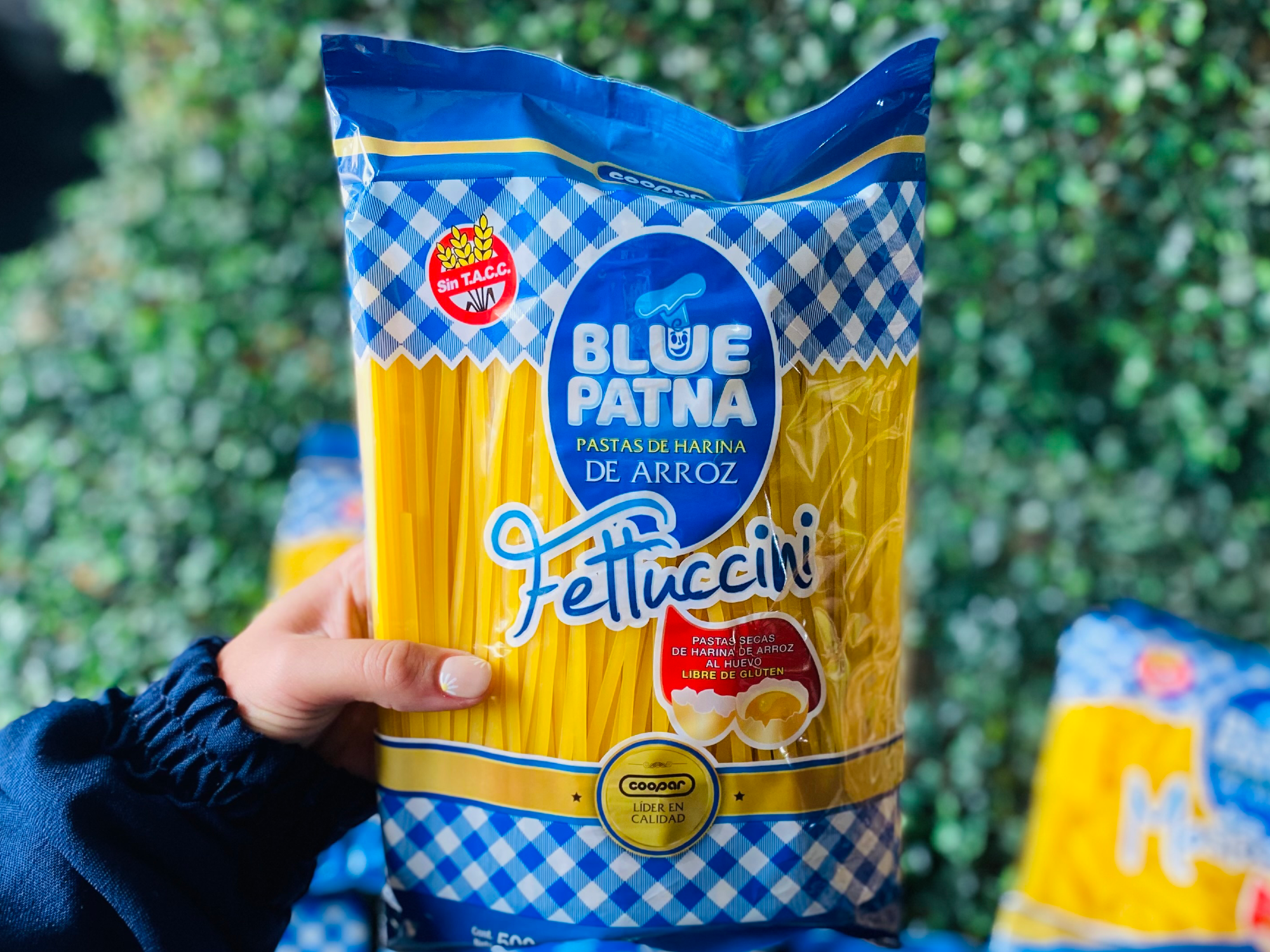 Fetuccini al huevo x 500 gr