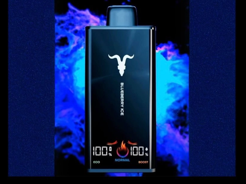 V300