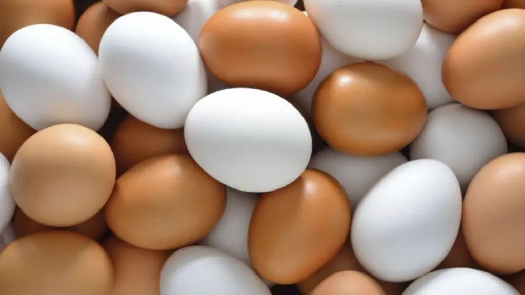 Huevos de Granja