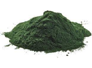 Spirulina