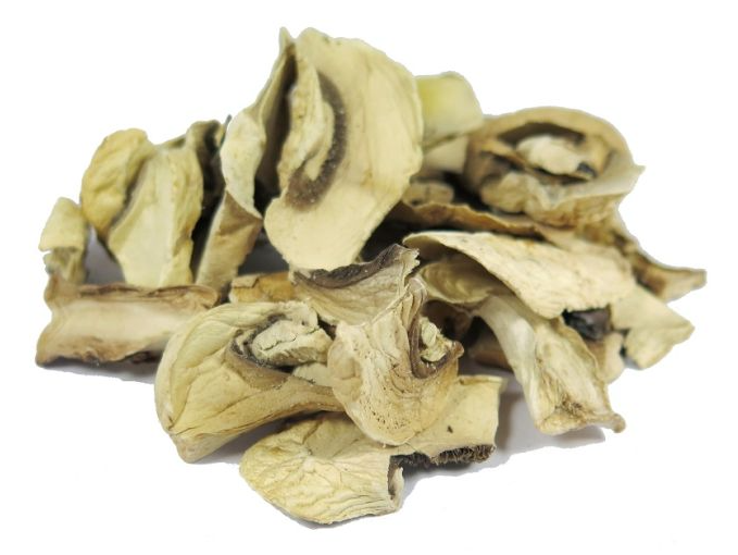 Hongos Champiñon x 100gr