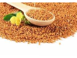 Mostaza en Grano