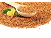 Mostaza en Grano