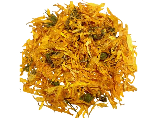 Calendula