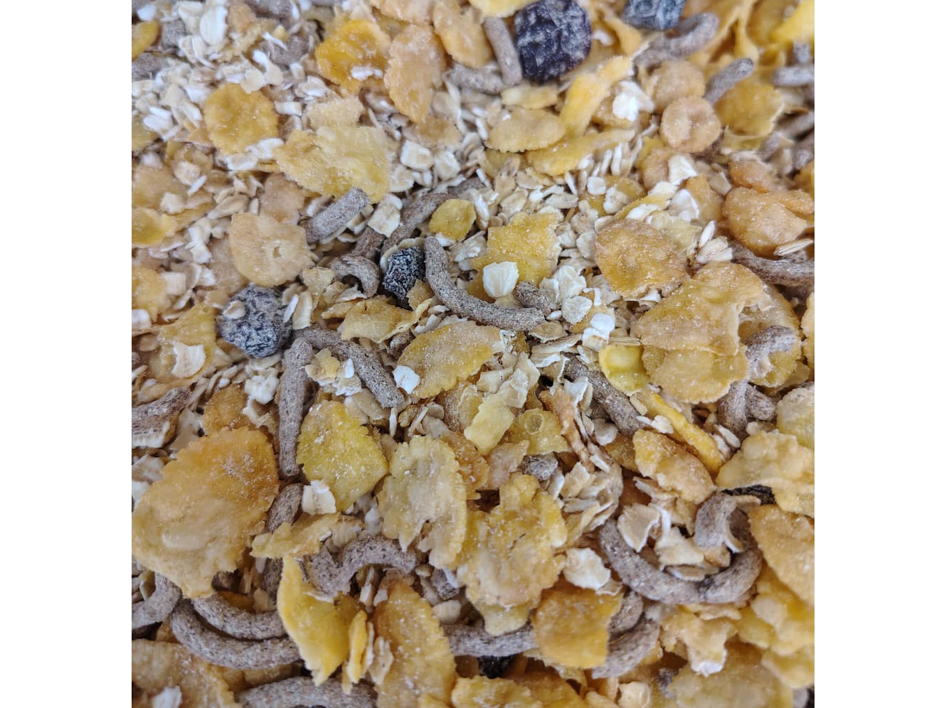 Granola Ligth x100g