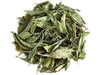 Stevia Hojas
