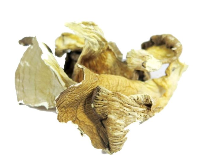 Hongos Girgola x 100gr