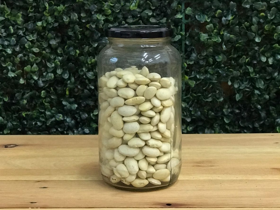 Poroto Pallares
