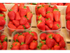 frutilla