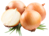CEBOLLA X KG