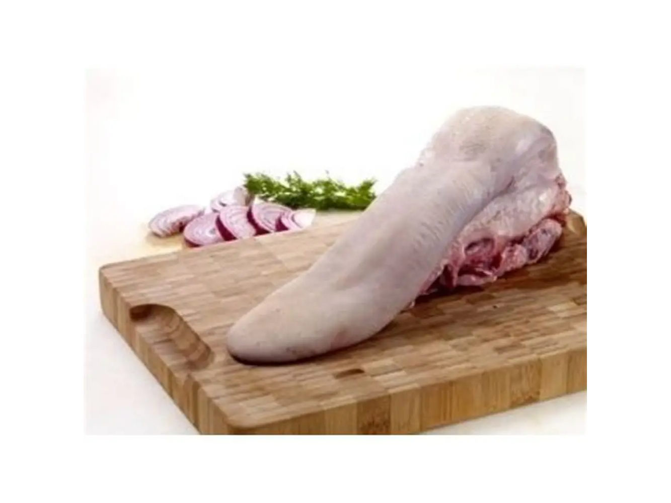 LENGUA X KILO
