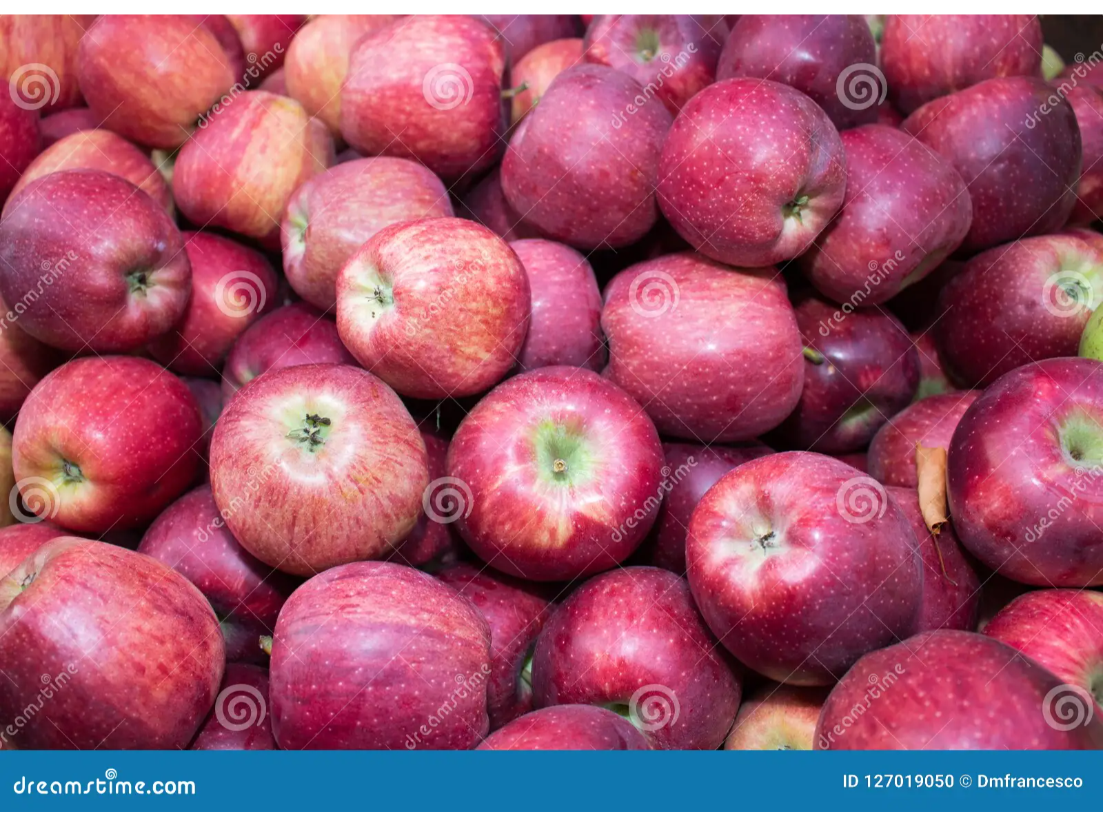 manzana jaula