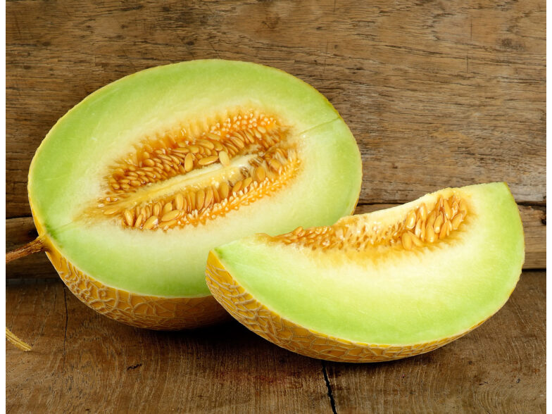 melon