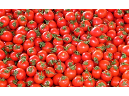 TOMATE CHERRY