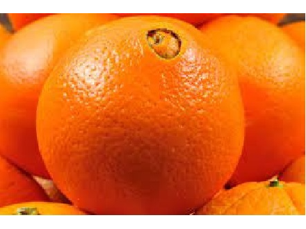 NARANJA OMBLIGO