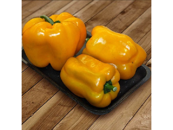 PIMIENTO AMARRILLO
