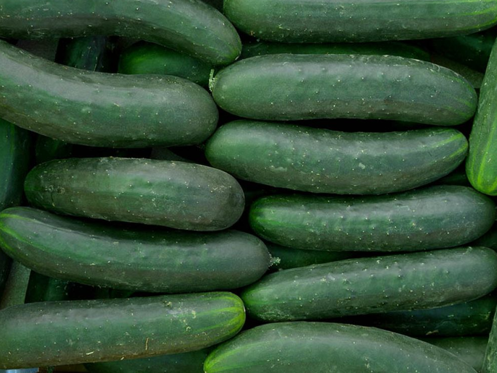 PEPINO