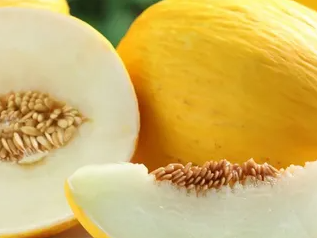 MELON AMARILLO