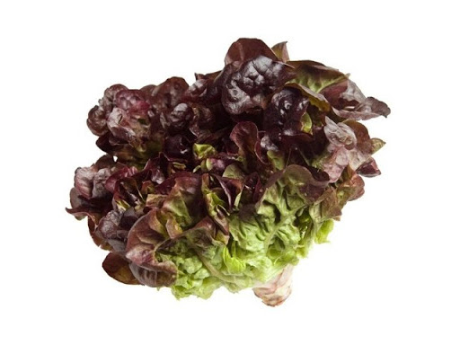 LECHUGA MORADA