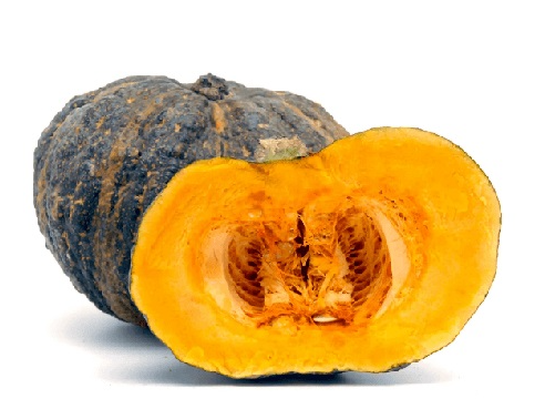 ZAPALLO CABUTIA
