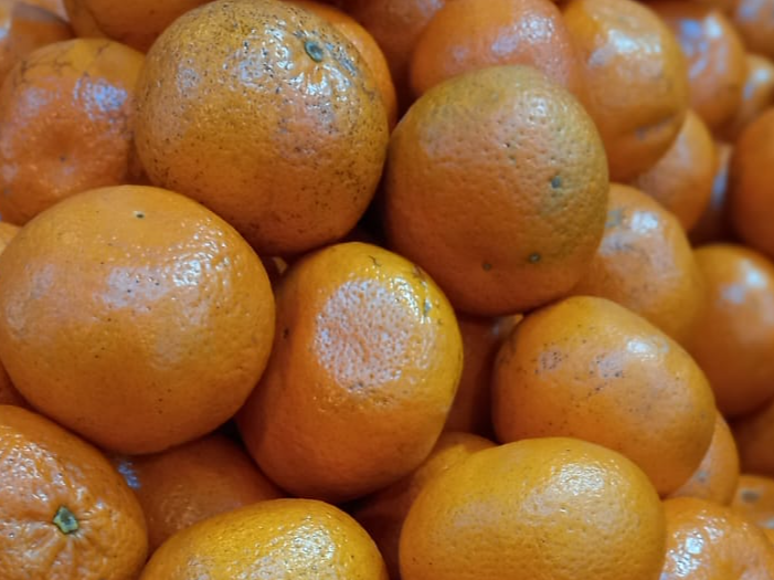 MANDARINA DANCY